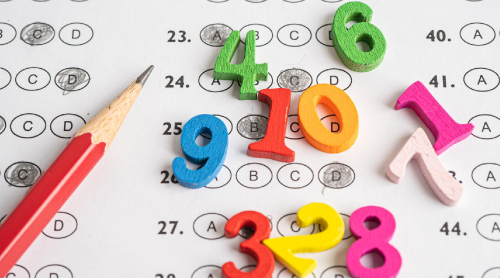 Competencia Cotorra de Matemáticas