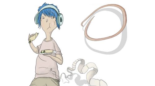 Que son los helminitos