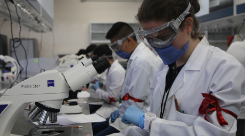 Olimpiada de Biología