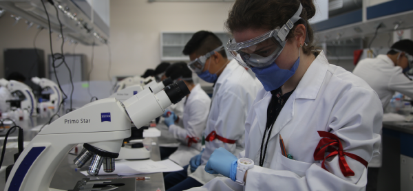 Olimpiada de Biología