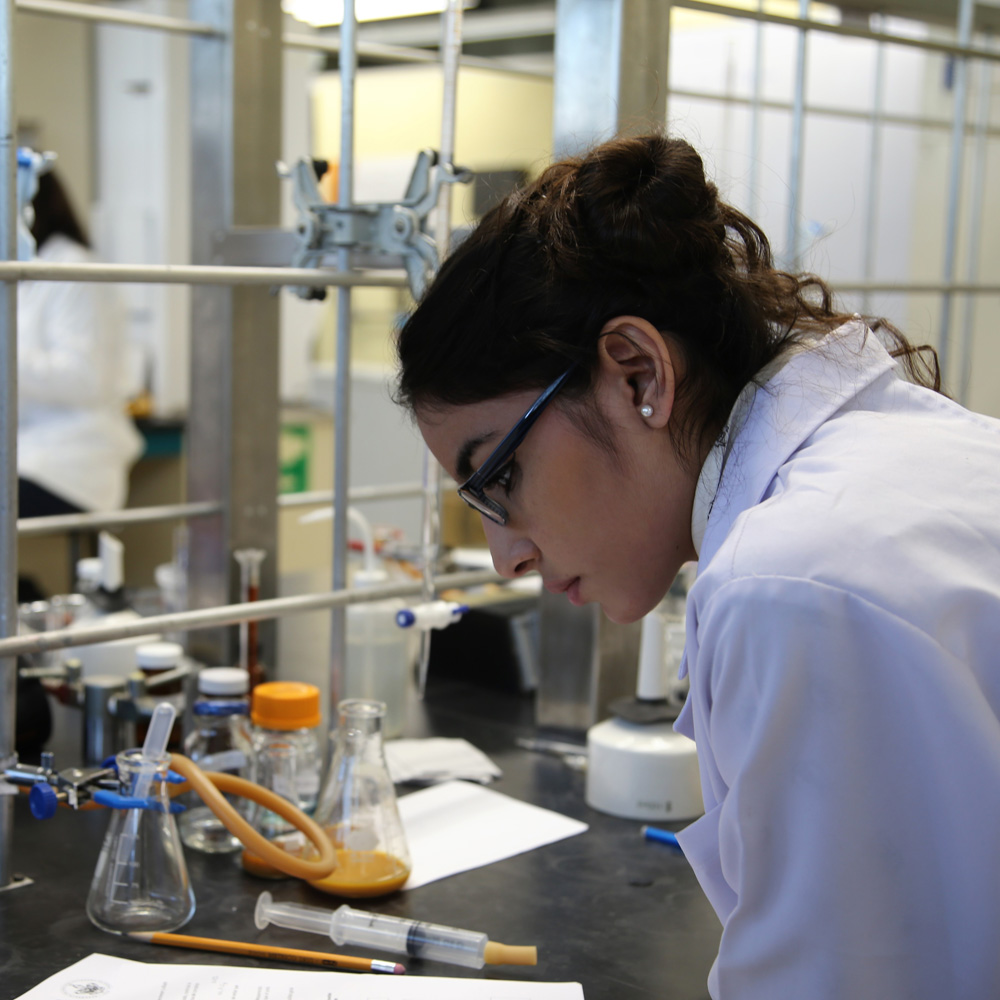 La AMC apoya programas de ciencia que involucran a jóvenes