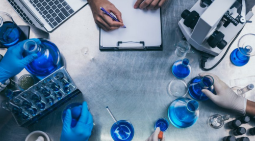 profesores distinguidos