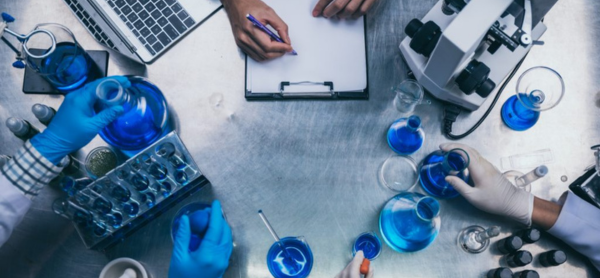 profesores distinguidos